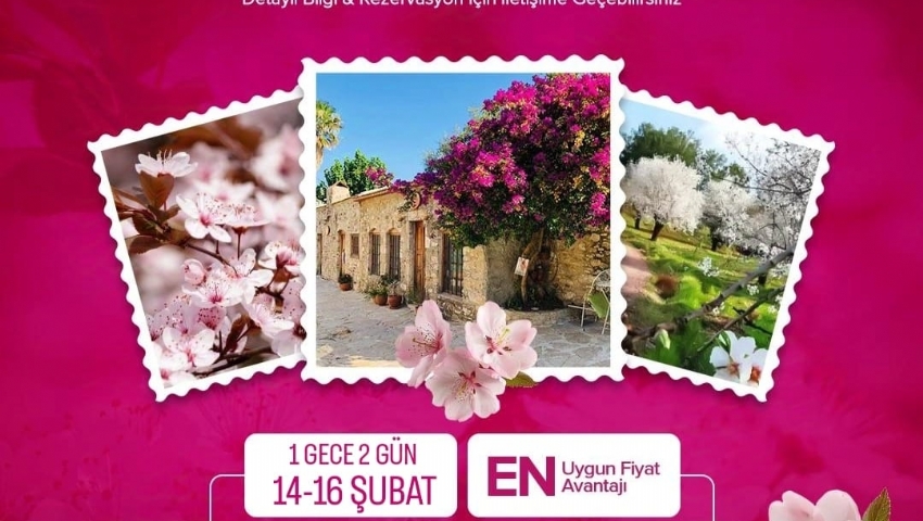 14-16 ŞUBAT 2025 DATÇA BADEM ÇİÇEĞİ FESTİVALİ TURU